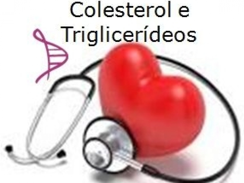 Você sabe o que é colesterol? E triglicérides? A nutricionista da Santa Casa de Sertãozinho explica